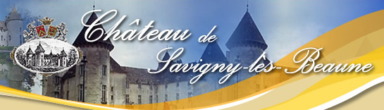 chateau-savigny